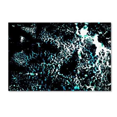 Trademark Fine Art